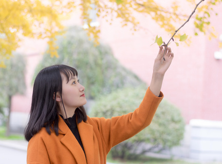 菲律宾达沃生意(生意全方面讲解)